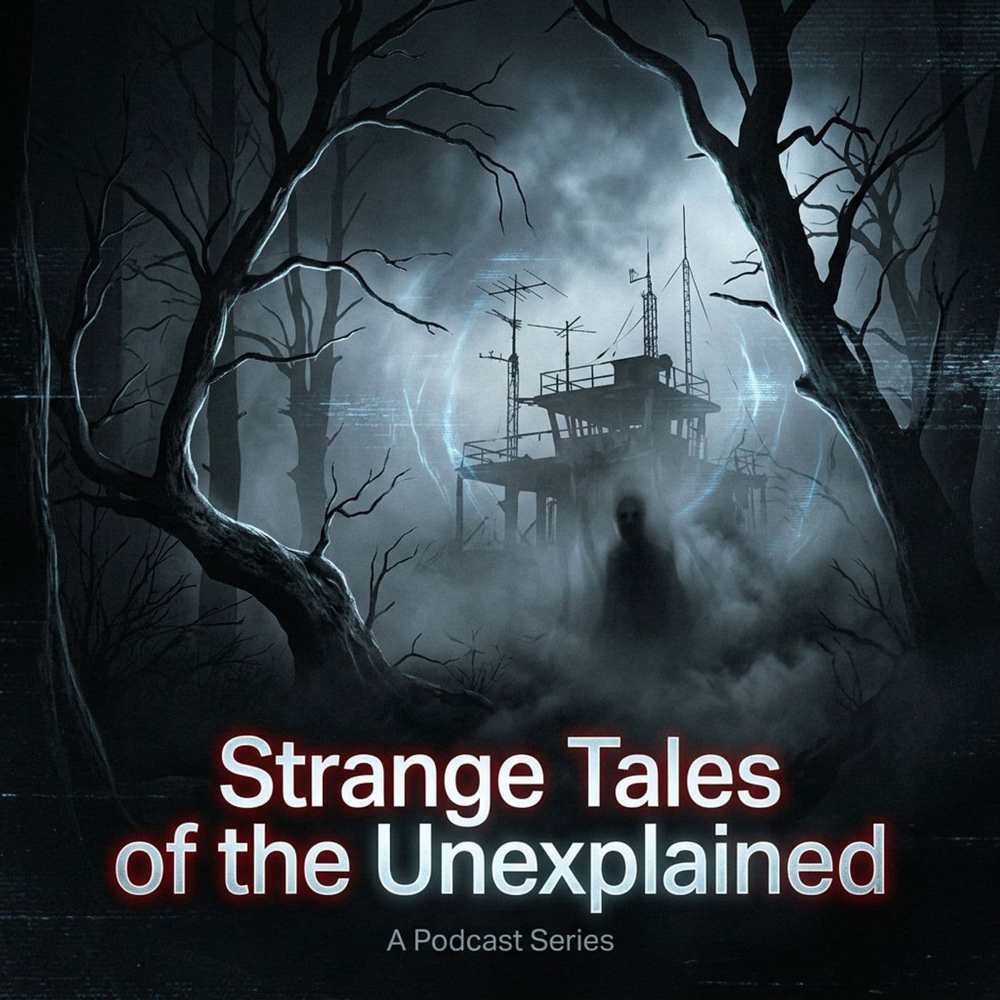 Signals in the Dark: The Black Forest, the Dead Lake, and Ms. Penny